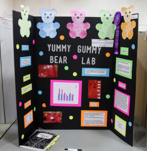 2019 Science Fair Photo