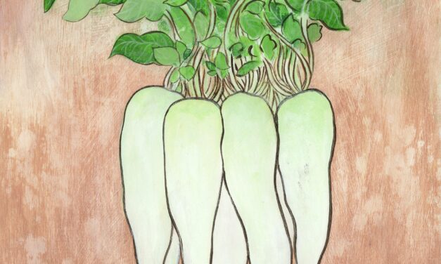 Daikon