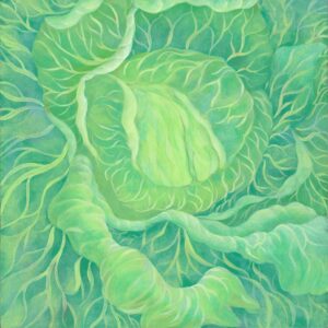 Artwork by Thao Le Khac featuring cabbage