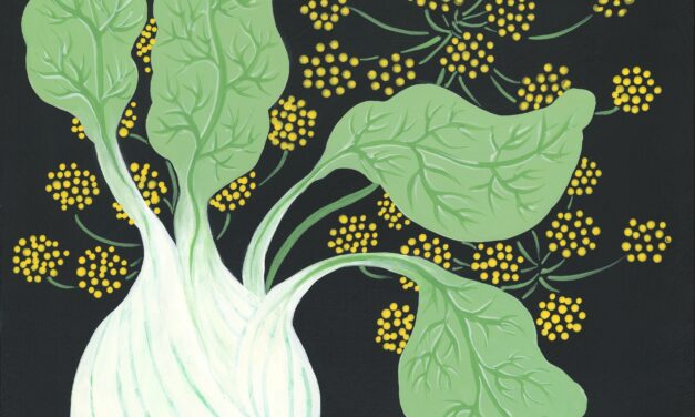 Fennel