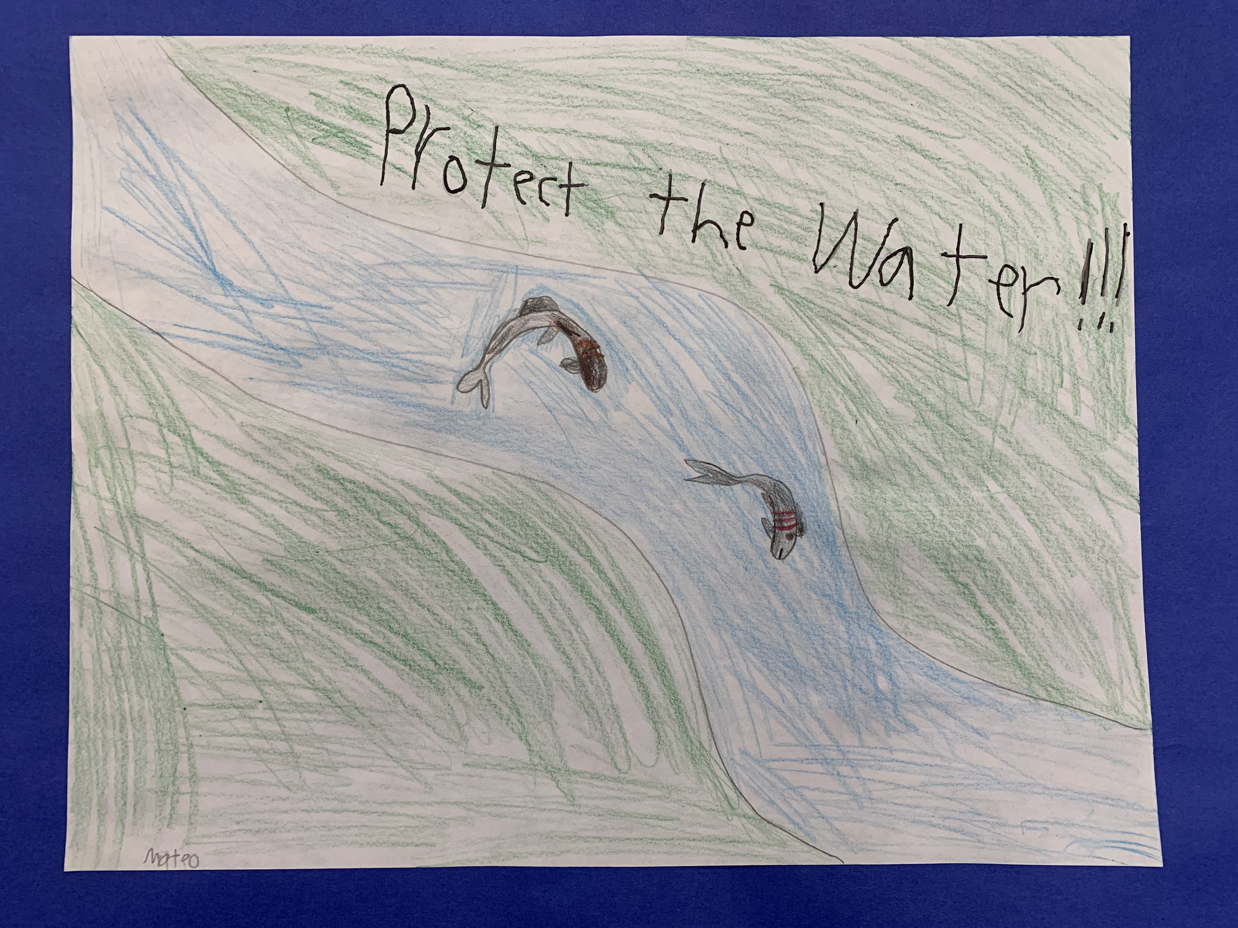 Protect the Water - by Mateo Blackwell