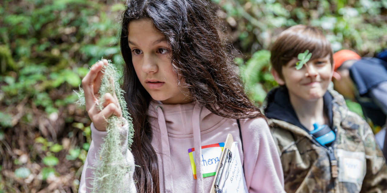 Redwood Education Program Introduces Students to Magical Forest Among Them