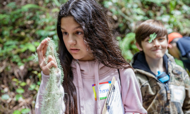 Redwood Education Program Introduces Students to Magical Forest Among Them