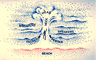 Graphic of a Riptide