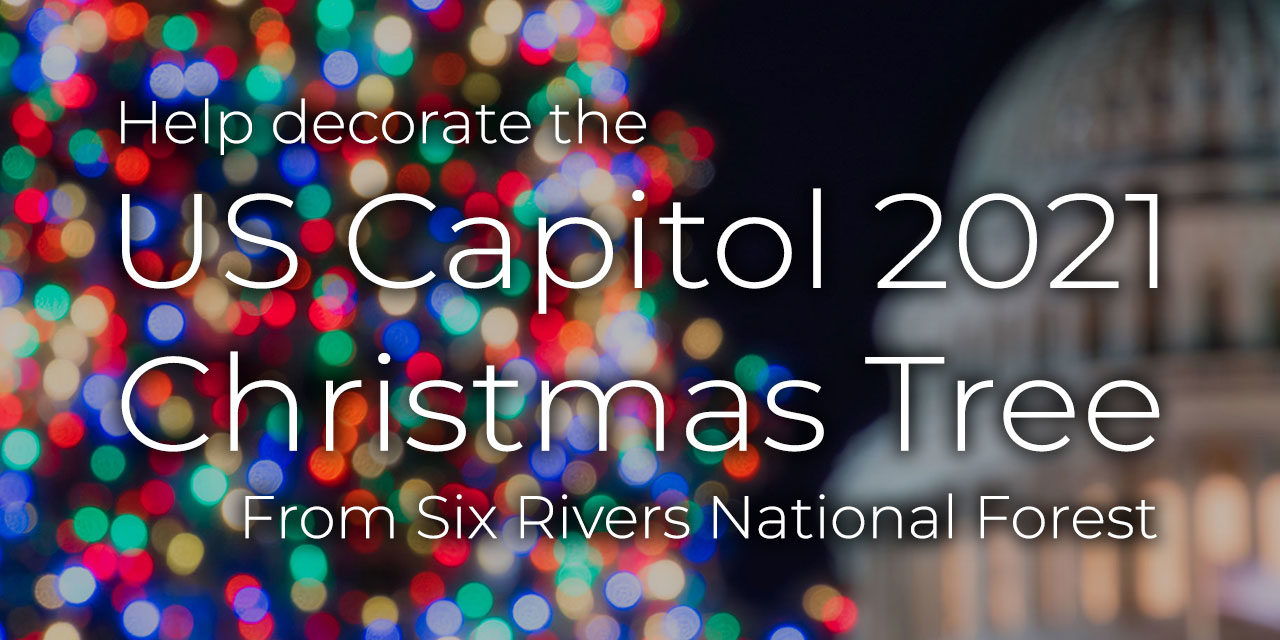 Help Decorate the 2021 U.S. Capitol Christmas Tree!
