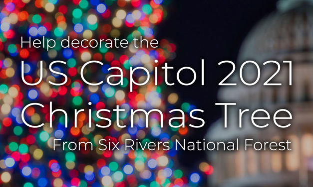Help Decorate the 2021 U.S. Capitol Christmas Tree!