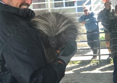Two students look on as an animal handler holds a porcupine