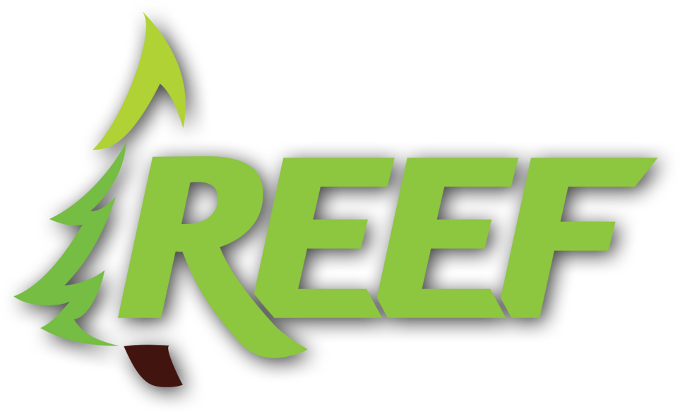 Redwood Environmental Education Fair Logo