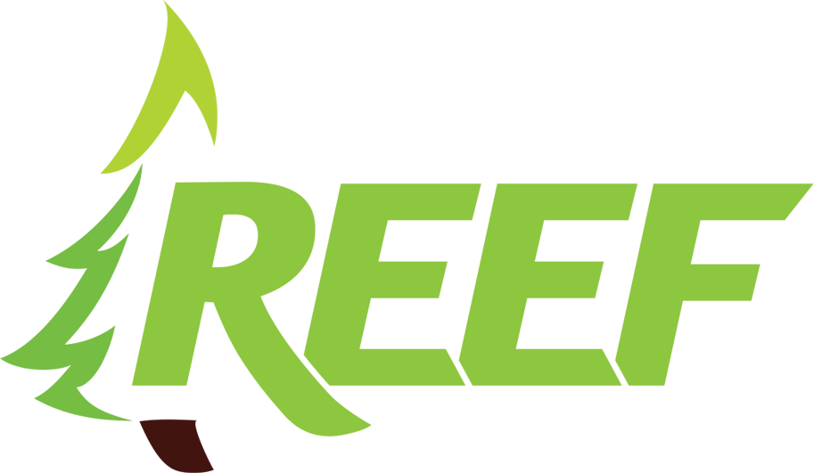 Redwood Environmental Education Fair Logo