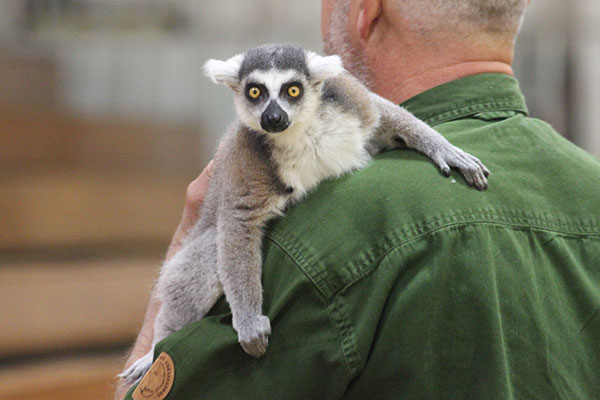 Photos from Redwood Environmental Education Fair