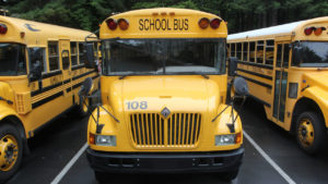 School Buses