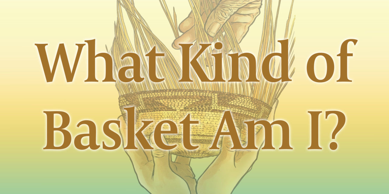 Student Display: What Kind of Basket Are You?